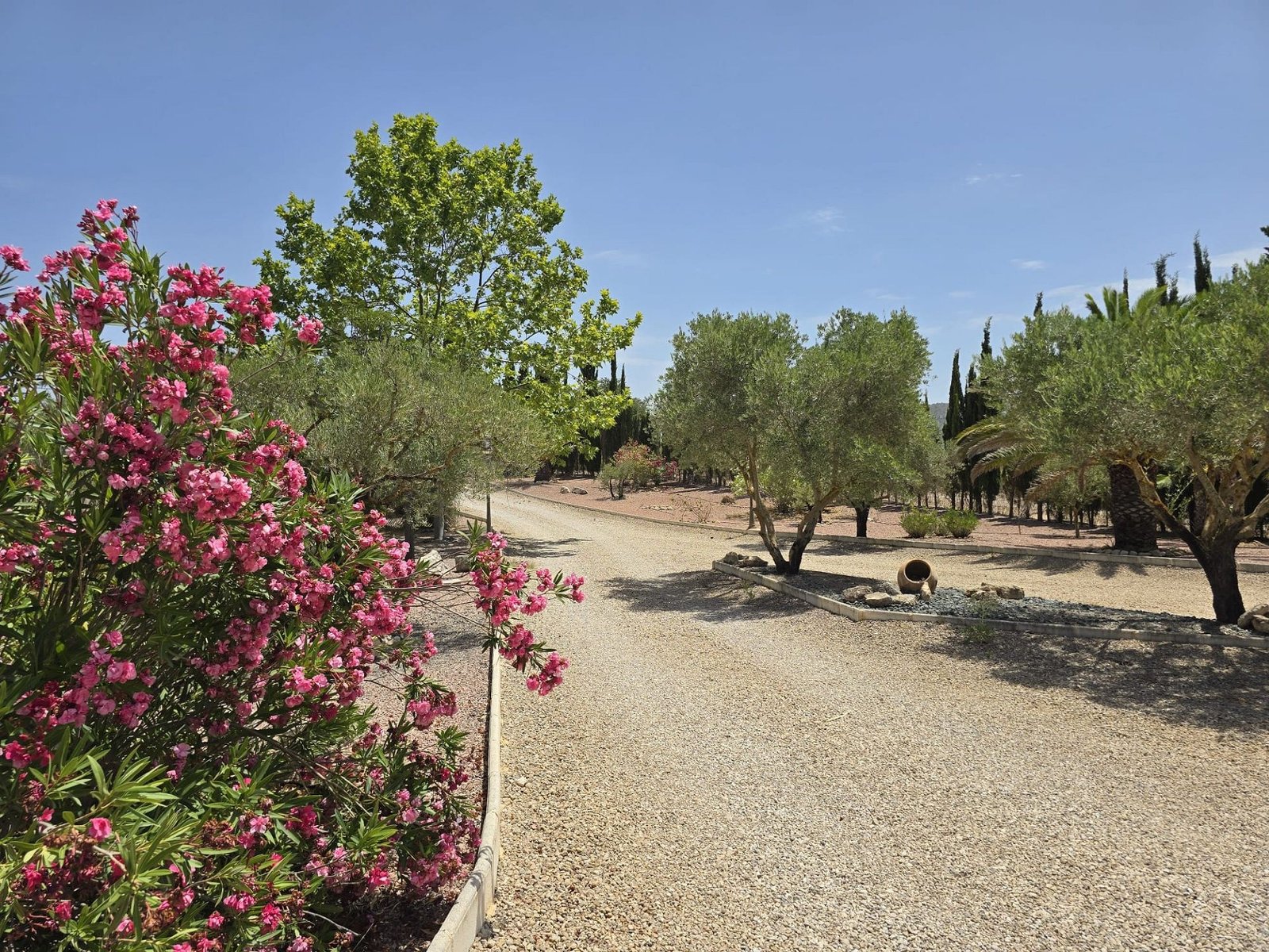 6 Bedroom 5 Bathroom Detached Villa in Salinas - Caza De Casa