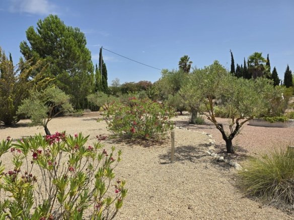 6 Bedroom 5 Bathroom Detached Villa in Salinas - Caza De Casa