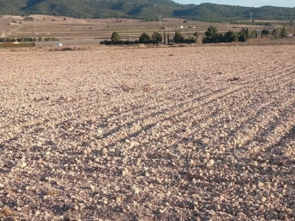 49,658 m² Land in Salinas - Caza De Casa