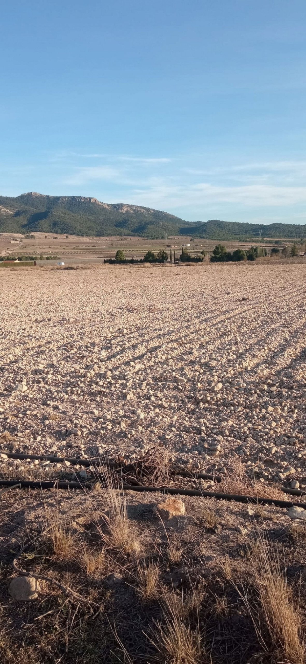 49,658 m² Land in Salinas - Caza De Casa