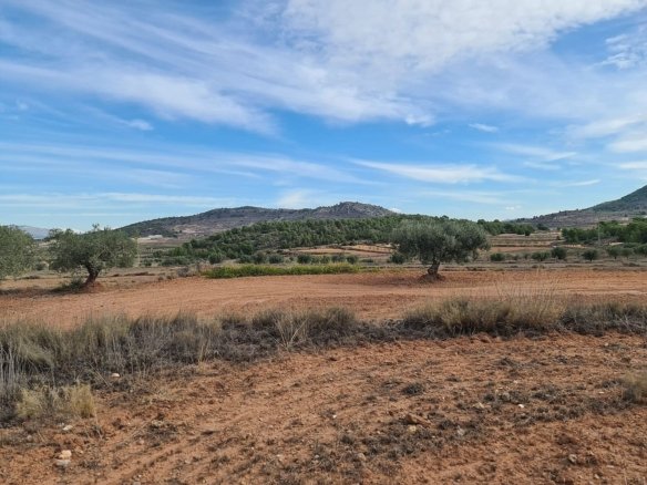 20,343 m² Land in Pinoso - Caza De Casa