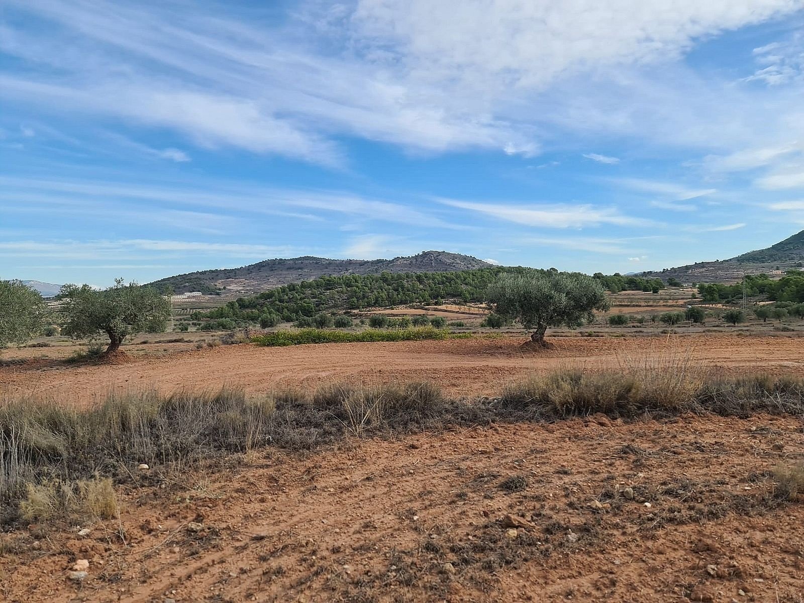 20,343 m² Land in Pinoso - Caza De Casa