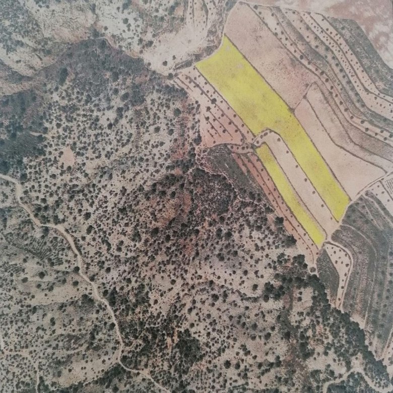 20,343 m² Land in Pinoso - Caza De Casa