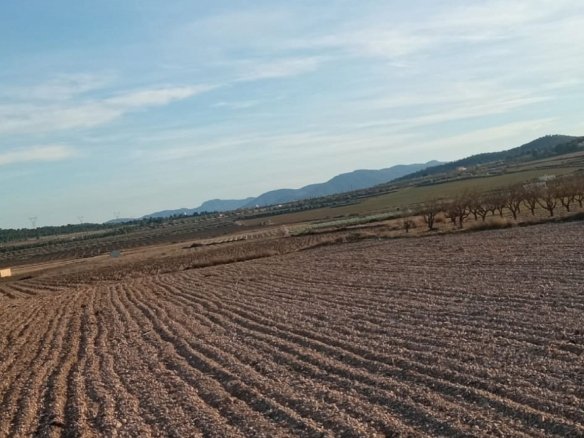 49,658 m² Land in Salinas - Caza De Casa