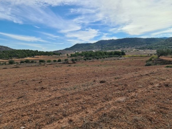 20,343 m² Land in Pinoso - Caza De Casa